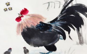 鸡婆婆和兔媳妇合不合
