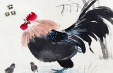 鸡婆婆和兔媳妇合不合