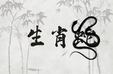 生肖蛇人的劫数年龄段