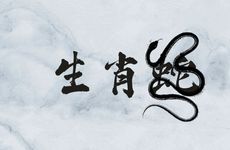 生肖蛇人的最佳婚配