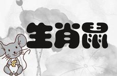 生肖鼠人跟谁一起财运好