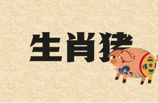 生肖猪和哪些属相相冲