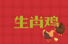 生肖鸡和鼠合得来吗