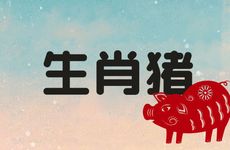 生肖猪女配什么生肖大富大贵