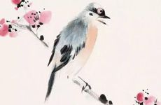 观音像的摆放位置和方向