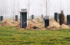 今日迁坟顺利吗 2025年农历二月十二日适合迁坟吗