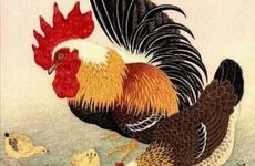 为什么三月三要吃鸡蛋