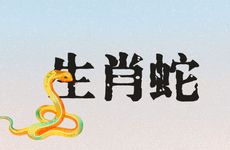 生肖蛇在2025年12月运势解析
