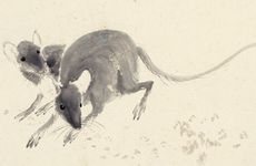 虎男鼠女适合做夫妻吗？