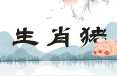 生肖猪适合干什么工作和职业？