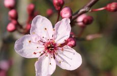 阳宅车祸一眼断以及化解方法