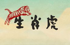 生肖虎的院子风水布局