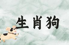 生肖狗2025年能过生日吗