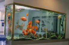鱼缸改善餐厅风水