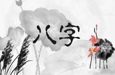 合婚八字合婚时柱相冲怎么办