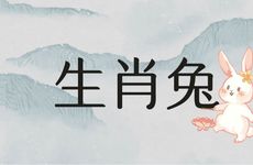1987年生肖兔2025年的运势及运程