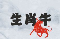 生肖牛手机号码怎么选有财运