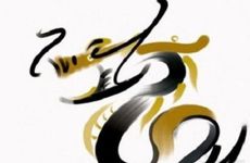 2000年几月出生的龙命好