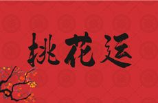 魅力四射不缺人追中年走桃花运的生肖女