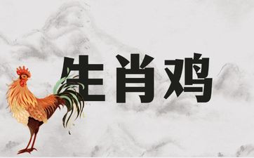 为什么生肖鸡的人小人多