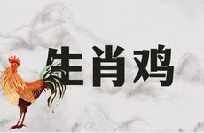 生肖鸡与生肖猪婚配合适吗 能合伙做生意吗