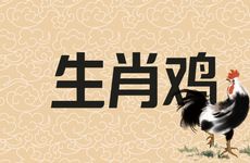 生肖鸡在2025年12月运势