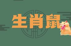 1984年生肖鼠的财位在哪个方向