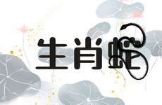 生肖蛇女的属相婚配表