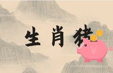 生肖猪的找对象找属什么的最好