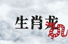 2025年生肖龙的全年运势详解