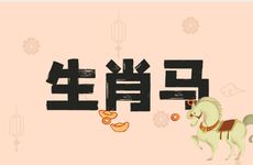 生肖马与生肖马夫妻婚后运势如何
