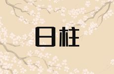 牛日冲羊是冲日柱还是年柱