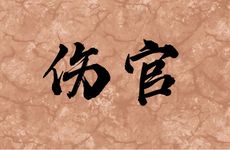 伤官生财格女命好吗
