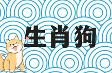 82年生肖狗女为啥说是寡妇命