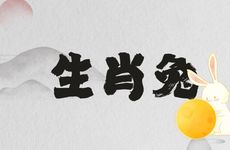 生肖兔女晚婚会嫁哪个生肖男