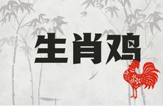 生肖鸡的人出生的年份是什么纳音年