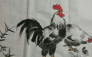 男鸡女鸡是断头婚吗