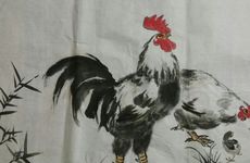 男鸡女鸡是断头婚吗