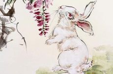 龙和兔子为啥不能在一起