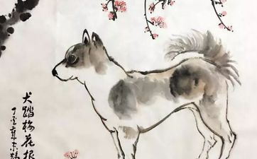 狗和蛇的属相合不合财 在一起好吗