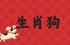 生肖狗的女人事业与家庭