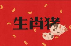 生肖猪做什么事业最不利