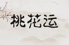 属龙人什么时候桃花运最旺