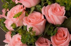 71猪已婚男2026年桃花