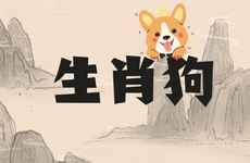 生肖兔和生肖狗做生意合不合财呢