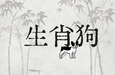 生肖狗供奉哪位财神爷比较合适