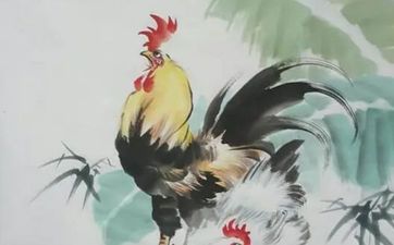 鸡和龙有夫妻缘吗 在一起运气如何