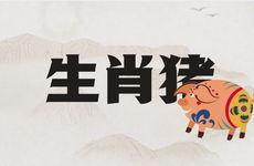 生肖猪跟什么生肖婚配好