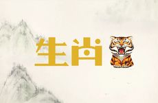 1898年生肖虎女适合什么工作