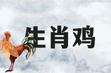 生肖鸡的最佳婚配对象是什么生肖